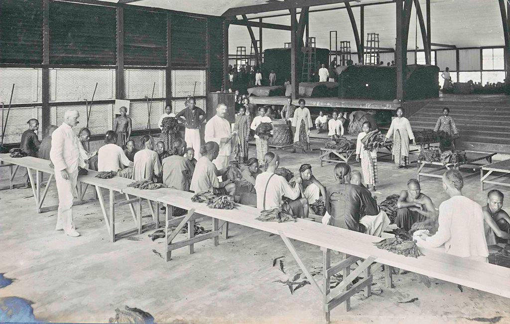 Detail of Sumatra, Mariendal old parlor of tobacco, Indonesia by Anonymous