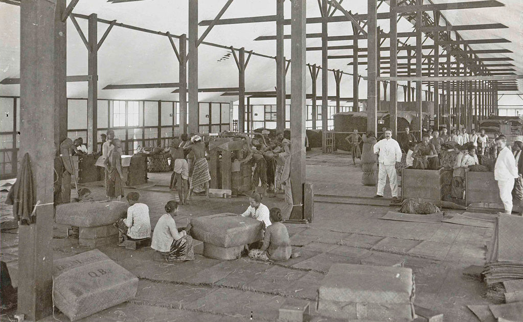 Detail of Sumatra indonesia, pressing and sewing of suits in barn by Carl J. Kleingrothe