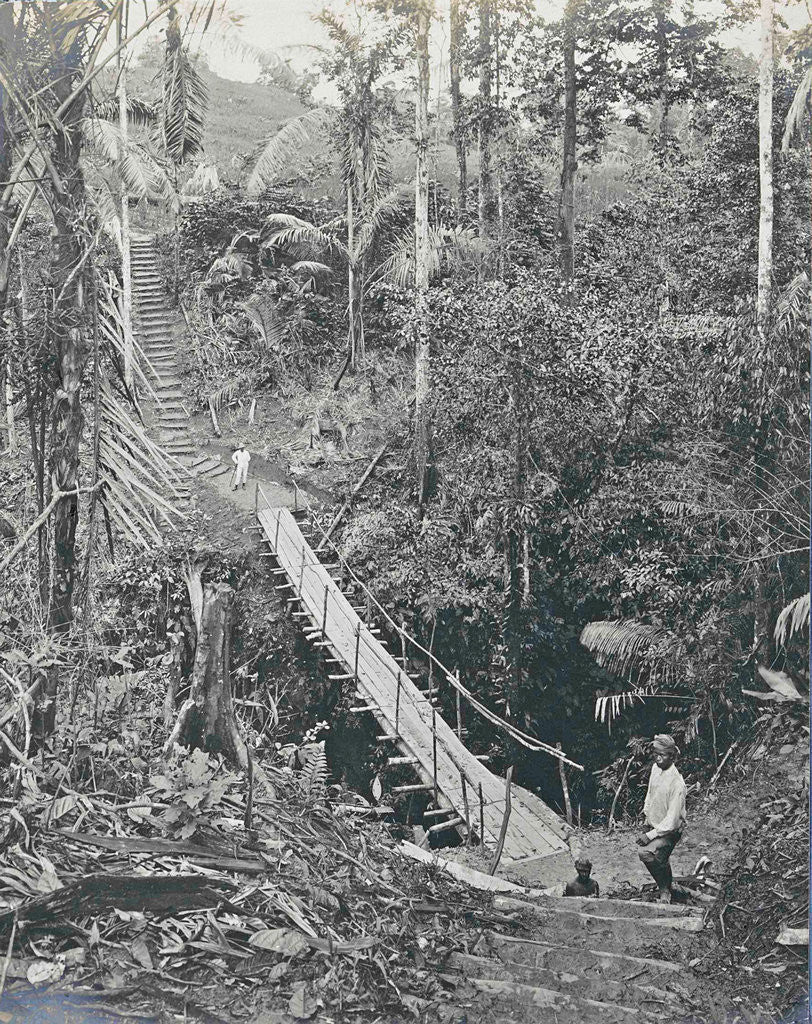 Detail of Sumatra indonesia, suspension bridge at Gunung Rintel by Carl J. Kleingrothe
