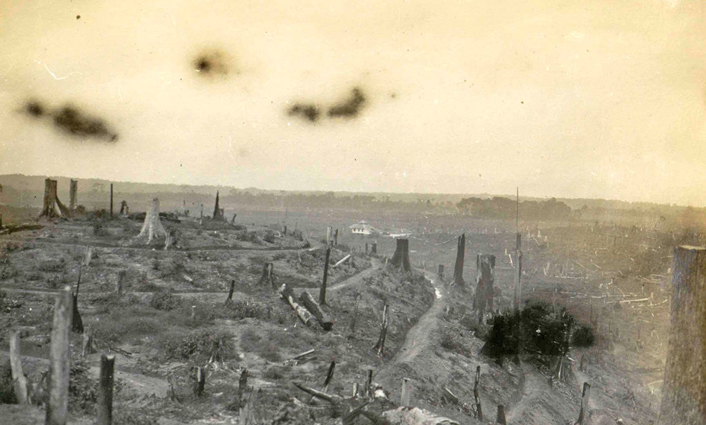 Detail of Sumatra, Soengai rasik, felling of rubber (Deli Mij) by Anonymous