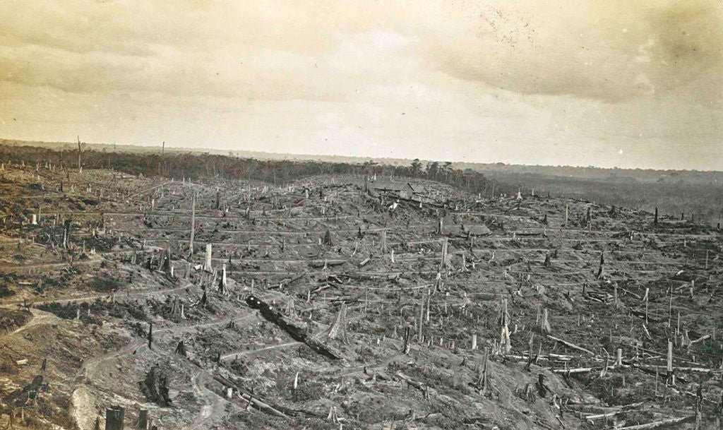 Detail of Sumatra indonesia, rubber kebon in construction (Soengai Tassik) by Anonymous