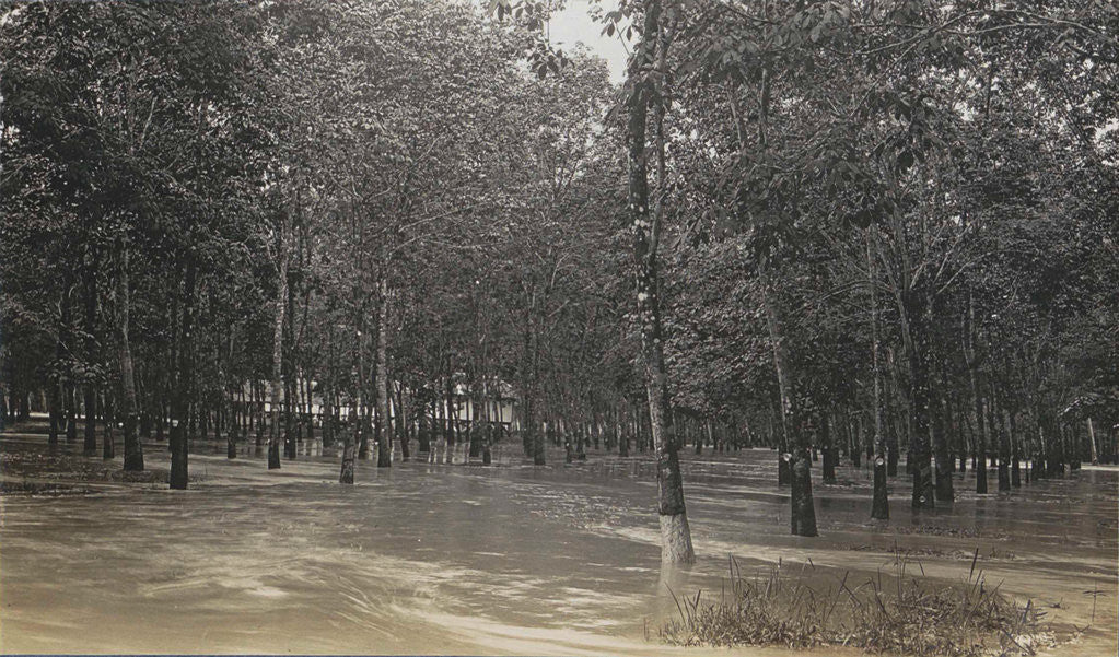 Detail of Sumatra indonesia, floods rubber Kibon Batang Sera Gang by Anonymous