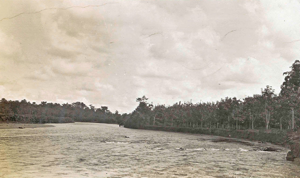 Detail of Sumatra, Soengai Serangang River, Indonesia by Anonymous