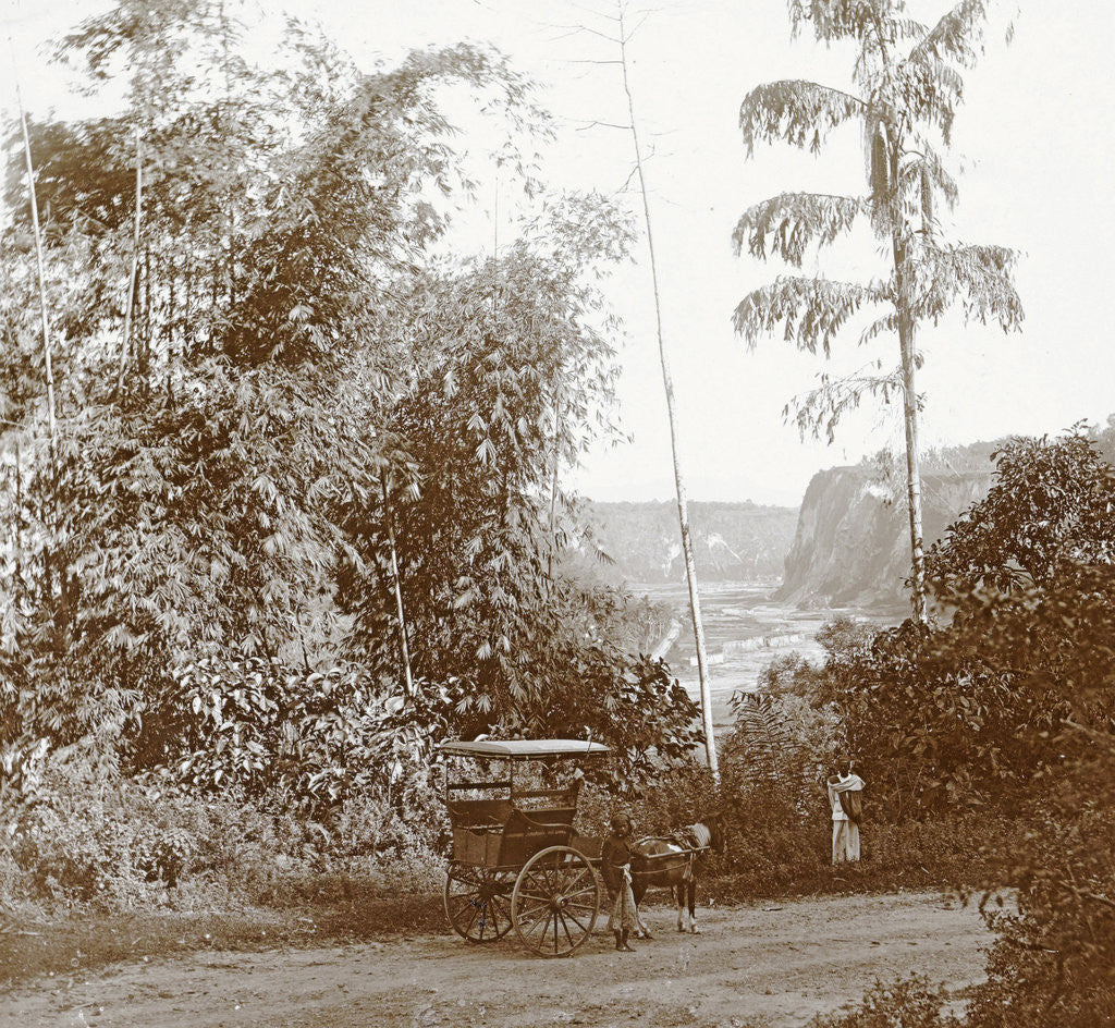 Detail of Sumatra indonesia cart with natives at Karbouwengat by Christiaan Benjamin Nieuwenhuis