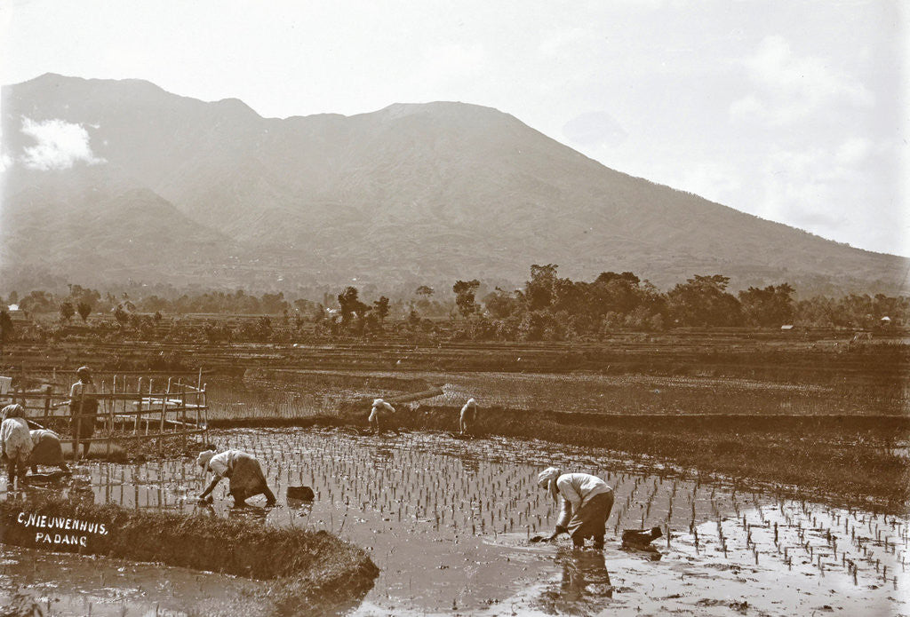 Detail of Sumatra, Merapi with natives on the field, Indonesia by Anonymous