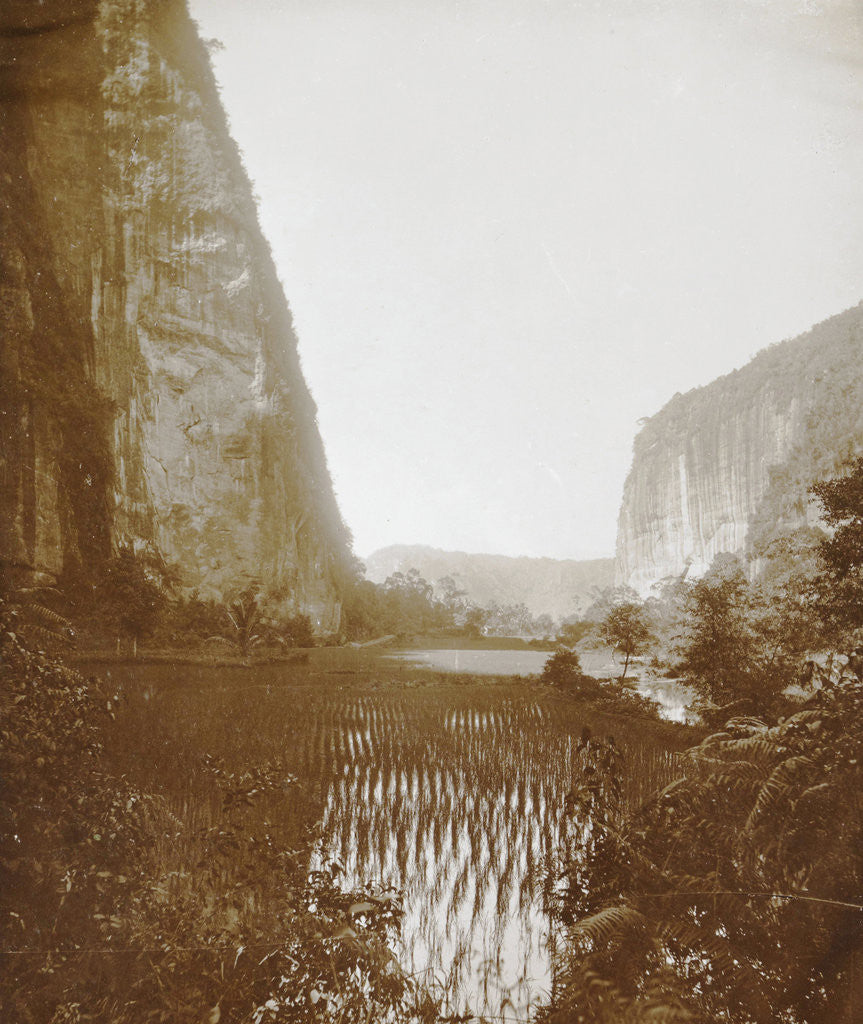 Detail of Abyss Harau by Christiaan Benjamin Nieuwenhuis