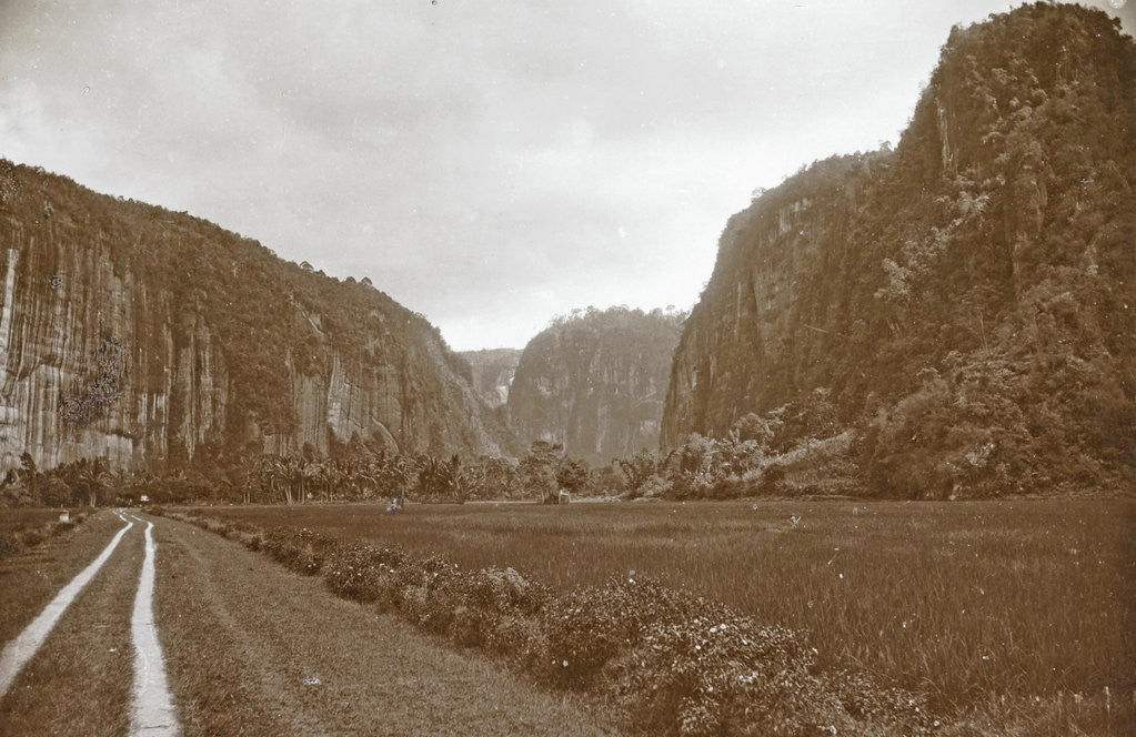 Detail of Gorge Harau by Christiaan Benjamin Nieuwenhuis
