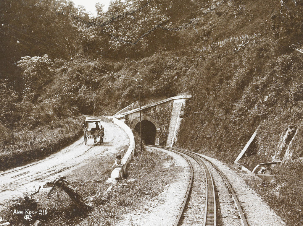 Detail of Anai soffits by Christiaan Benjamin Nieuwenhuis