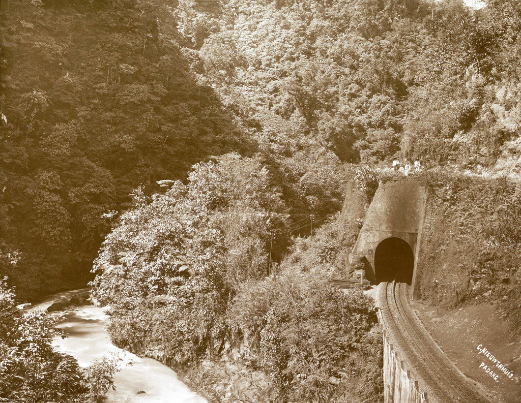 Detail of Sumatra indonesia railway in Anai Gorge by Christiaan Benjamin Nieuwenhuis