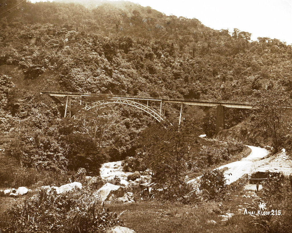 Detail of Anai - Abyss by Christiaan Benjamin Nieuwenhuis