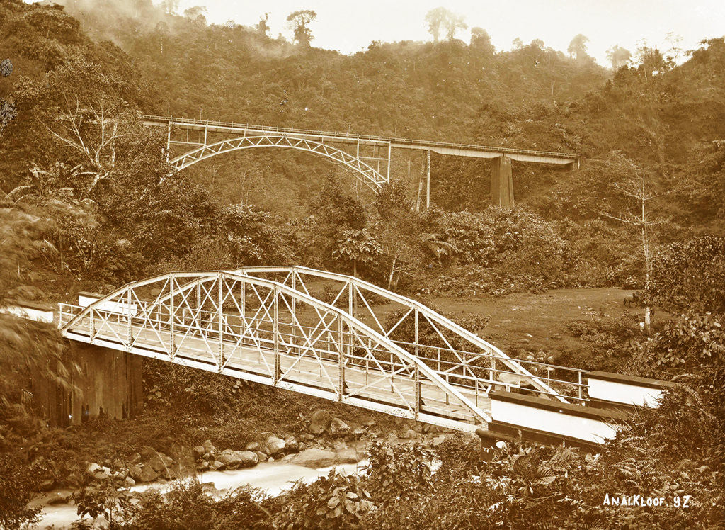 Detail of Anai Gorge, Indonesia by Christiaan Benjamin Nieuwenhuis