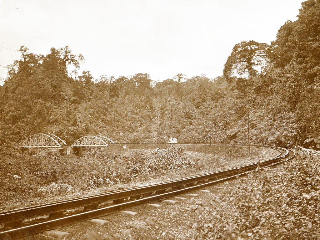 Detail of Sumatra indonesia, Anai Gorge with railway by Christiaan Benjamin Nieuwenhuis