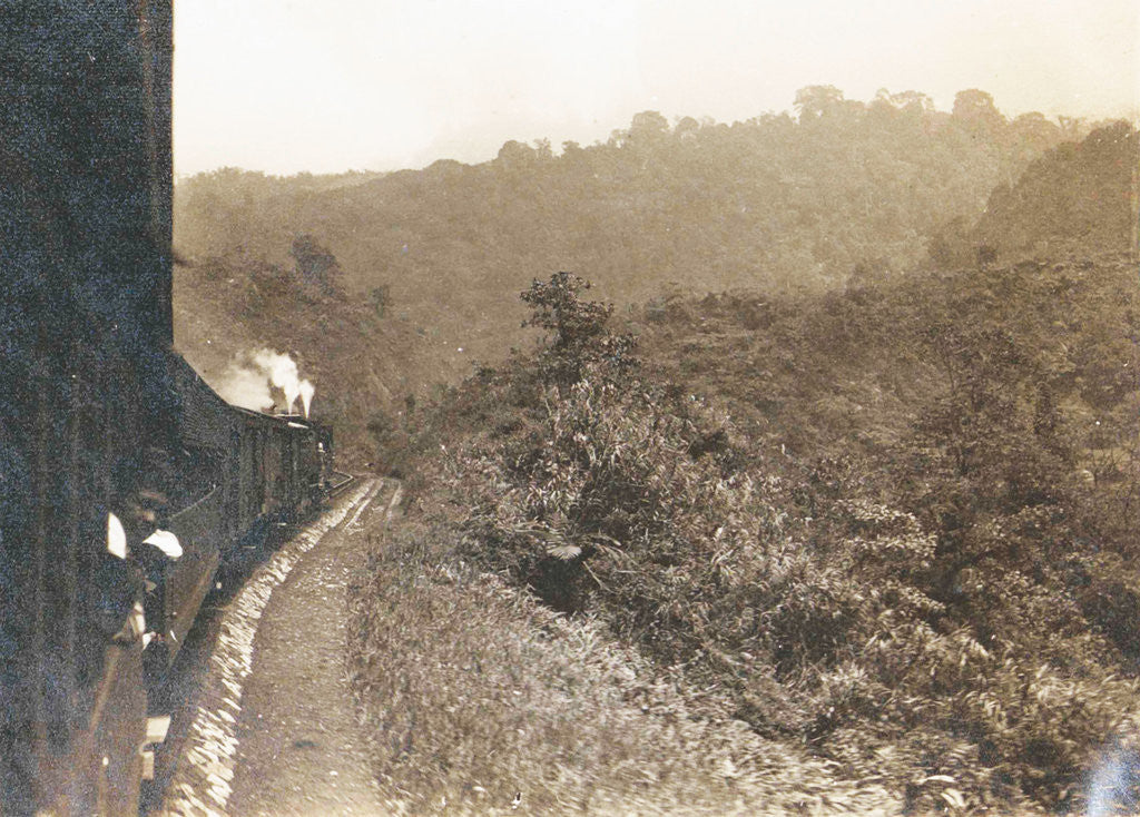 Detail of Sumatra, Anai Gorge from train railway, Indonesia by Anonymous