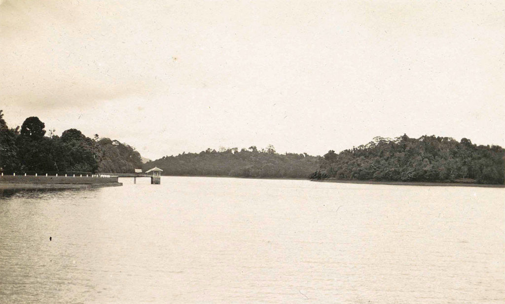 Detail of Singapore river with waterworks by Anonymous