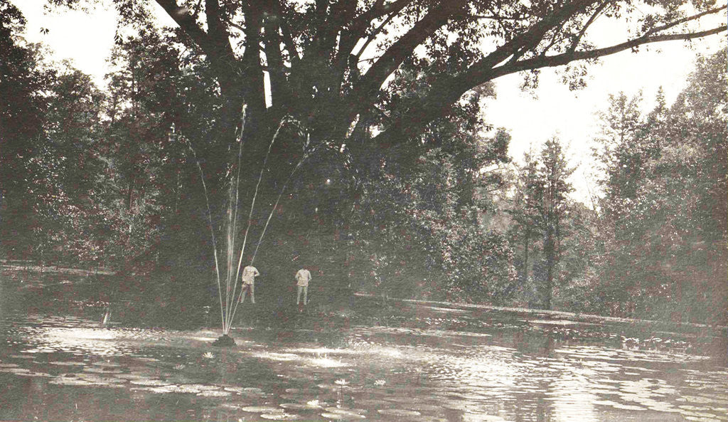 Detail of Buitenzorg, Indonesia, the botanical garden by Anonymous