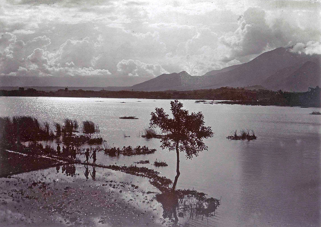 Detail of Java, lake of Bongadit to Priangan by Anonymous