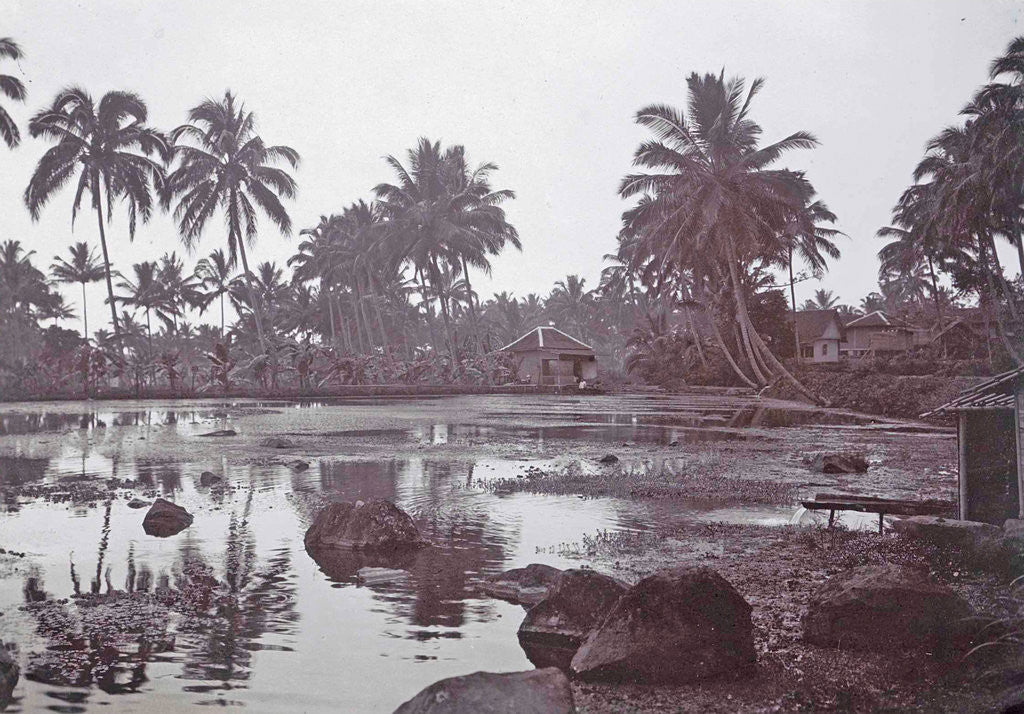 Detail of Java, Indonesia Tjipanas in Garut, with more trees and huts by Anonymous