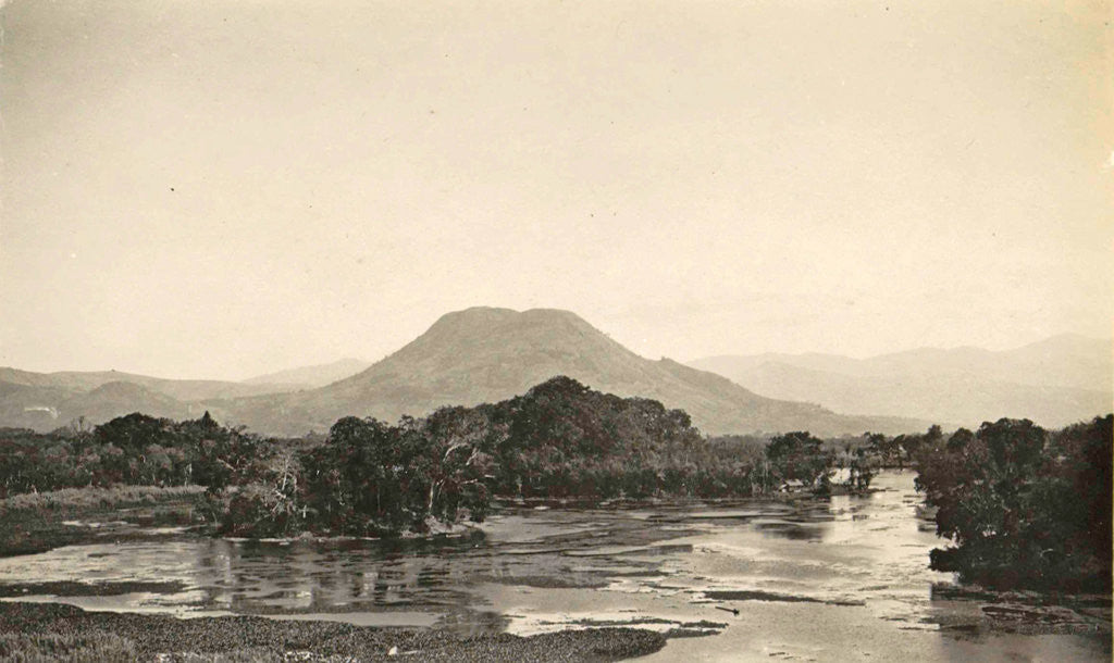 Detail of lake of Leles by Anonymous