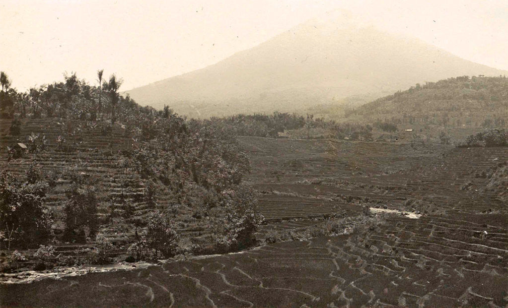 Detail of Garut with mountain Tjikorai and sawahs on foreground by Anonymous
