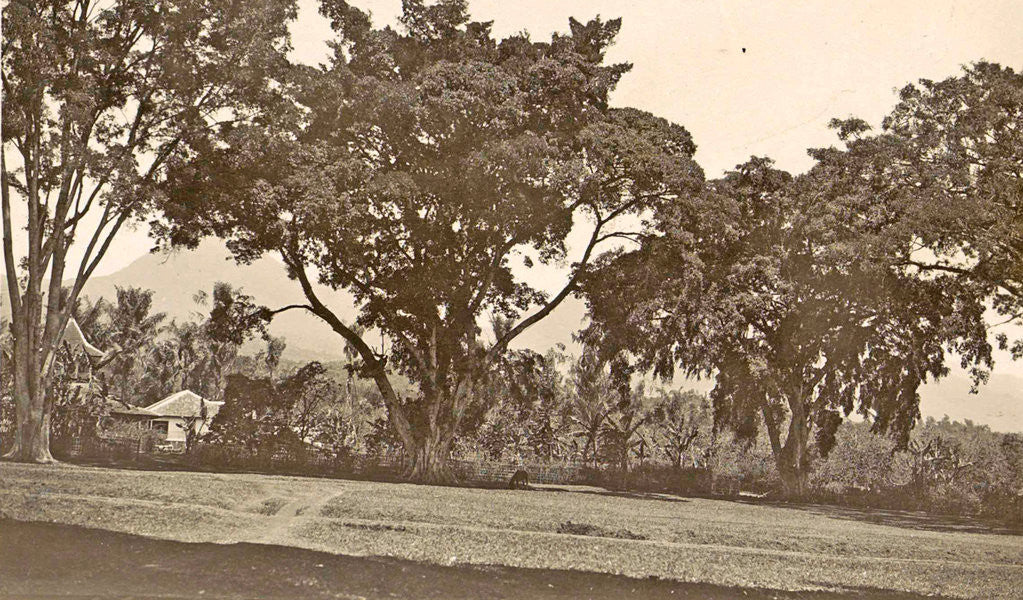 Detail of Java, Indonesia aloon-aloon the dessa Tjiseroepan by Anonymous