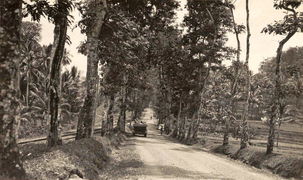 Detail of Road between Bander-Negara and Ninisvbo by Anonymous