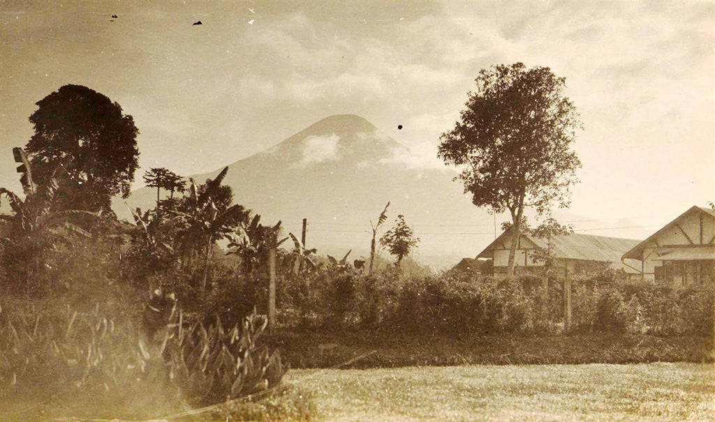 Detail of Java, Indonesia, mountain Sindoro to Ninisvbo by Anonymous