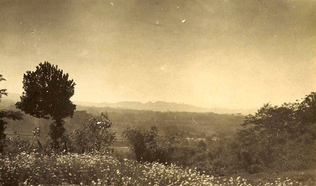 Detail of Java view from hotel to Ninisvbo by Anonymous