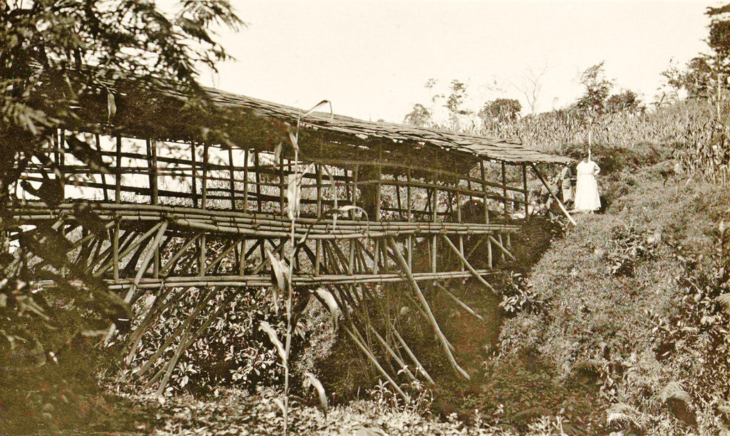 Detail of Java Ninisvbo, Indonesia by Anonymous