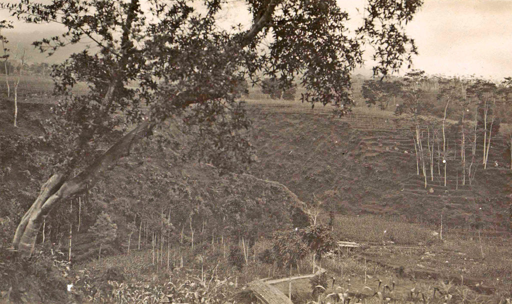 Detail of Java, Indonesia Ninisvbo with panorama by Anonymous