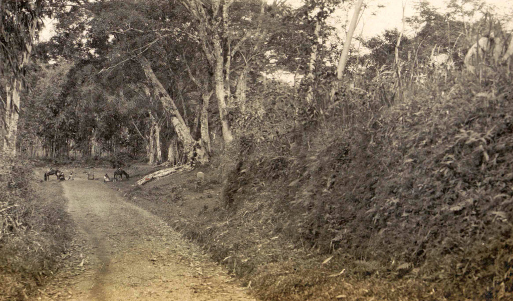 Detail of Java, lake of Mindjer with coolies towards plateau Indonesia by Anonymous