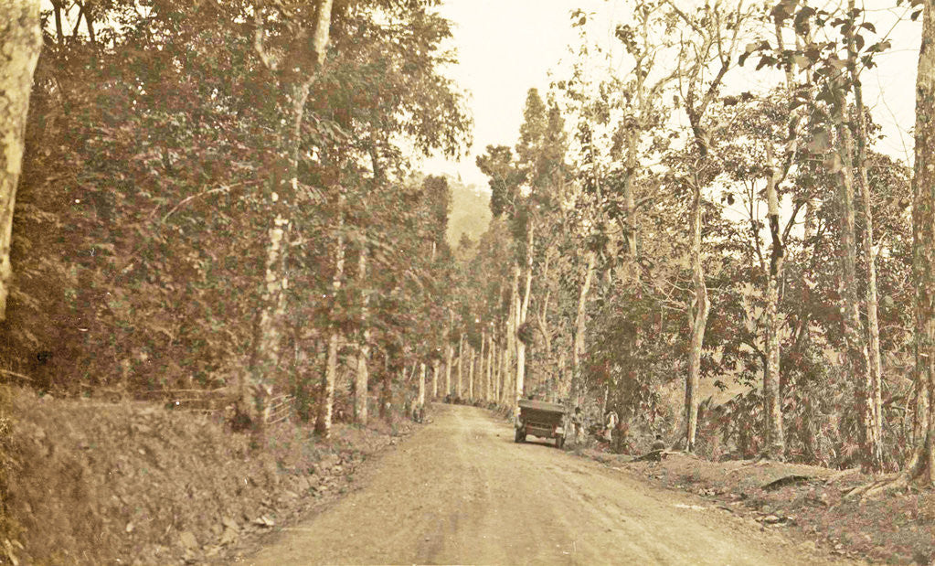 Detail of Java, Indonesia, away from Salaman to Borobudur by Anonymous