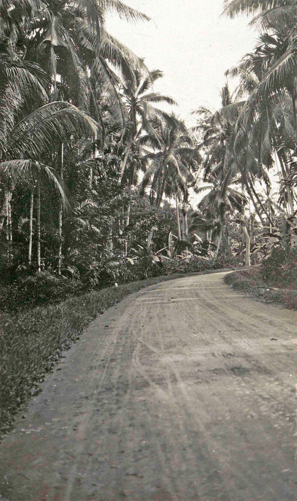 Detail of Java, Indonesia, away from Medan to Belawan by Anonymous