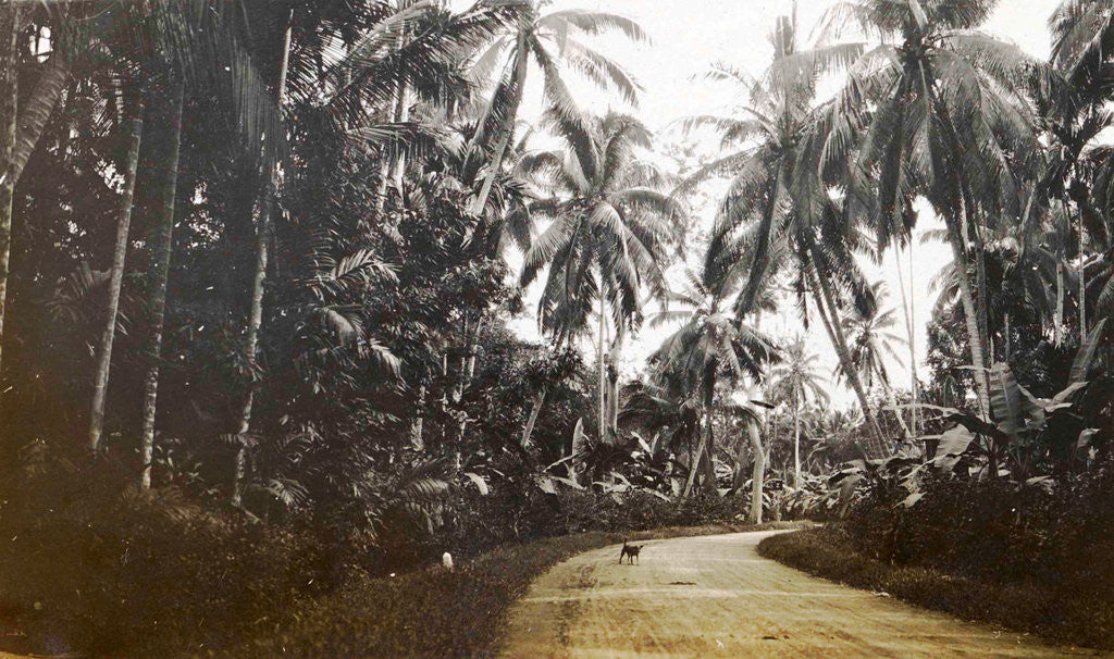 Detail of Java, Indonesia, away from Medan to Belawan by Anonymous