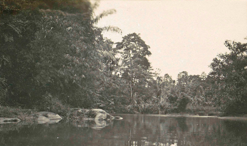 Detail of Dutch East Indies, indonesia, River Deli Toewa by Anonymous
