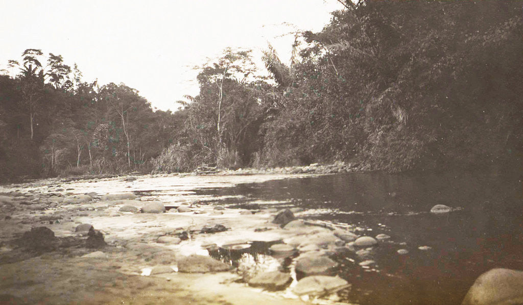 Detail of Dutch East Indies, indonesia, River Deli Tuva by Anonymous