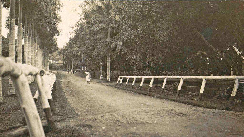 Detail of Dutch East Indies, indonesia, driveway Helvetia (Deli Mij) by Anonymous