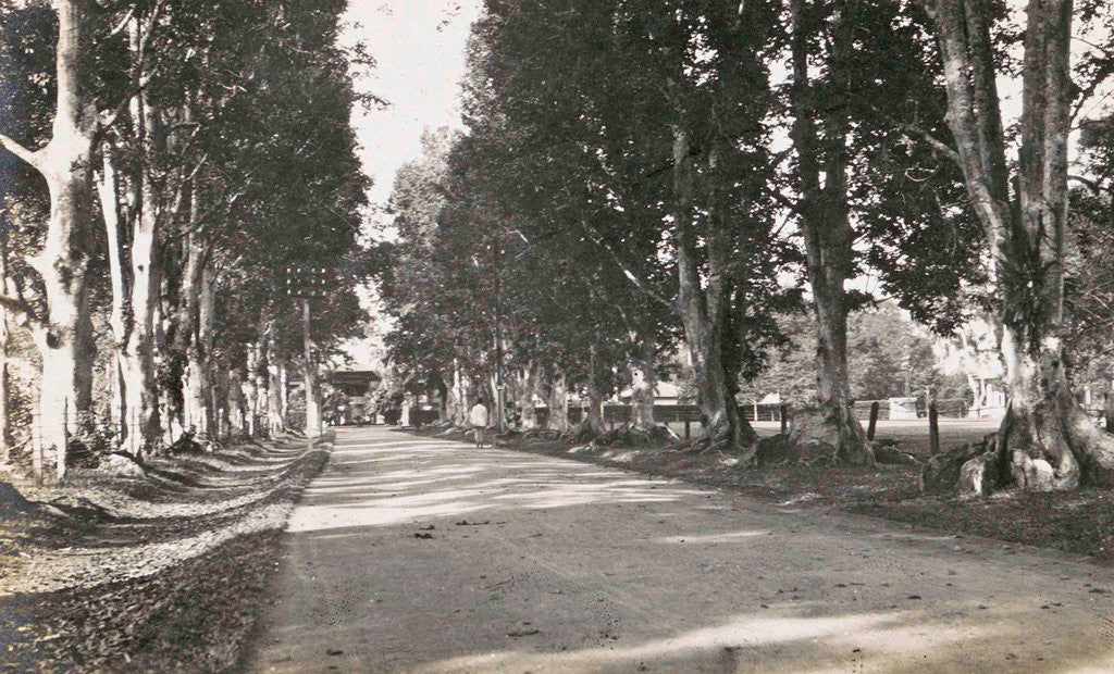 Detail of Sumatra indonesia, lane near Heineckens home Medan, Indonesia by Anonymous