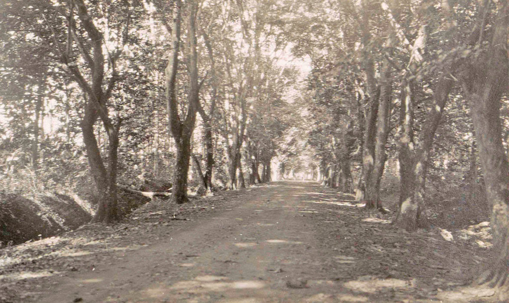 Detail of Sumatra indonesia, Medan and Amplas avenue, Indonesia by Anonymous