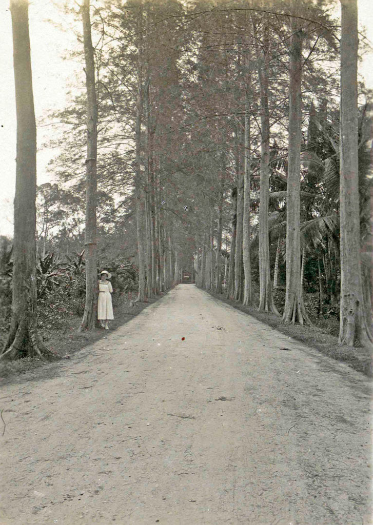 Detail of Sumatra indonesia, down with woman on the roadside by Anonymous