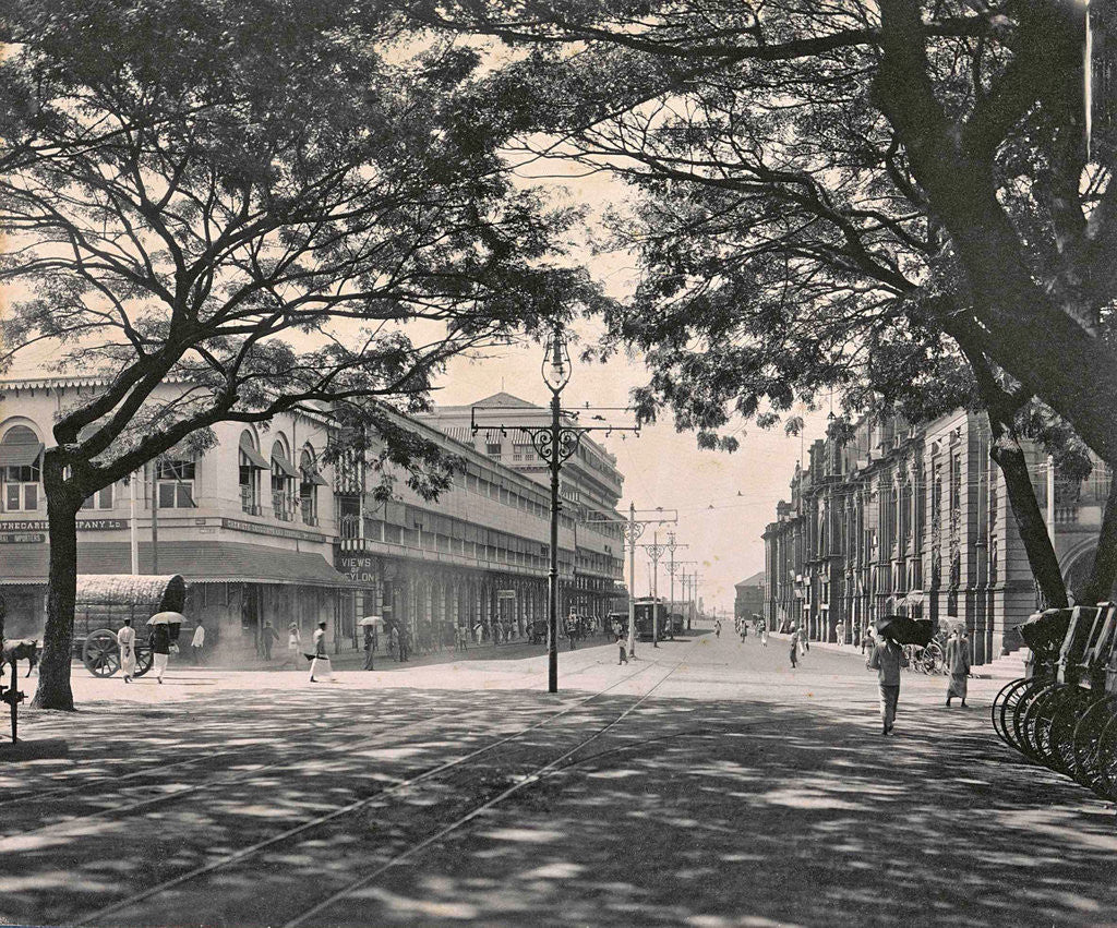Detail of Colombo is the commercial capital and largest city of Sri Lanka by Anonymous