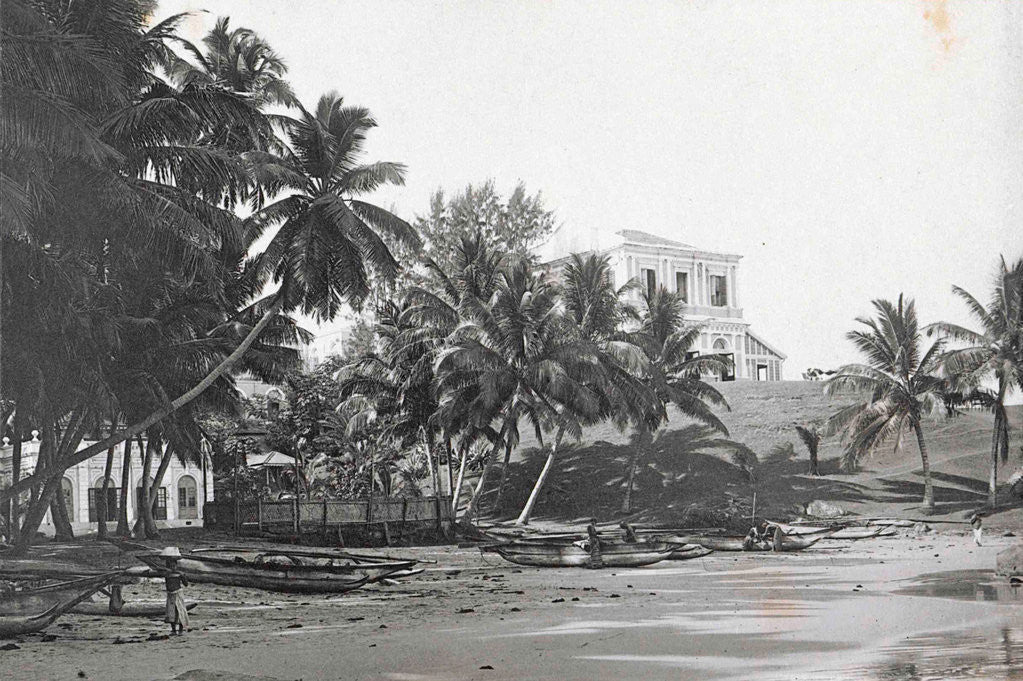 Detail of Ceylon in Colombo beach with boats and villas, Sri Lanka by Anonymous