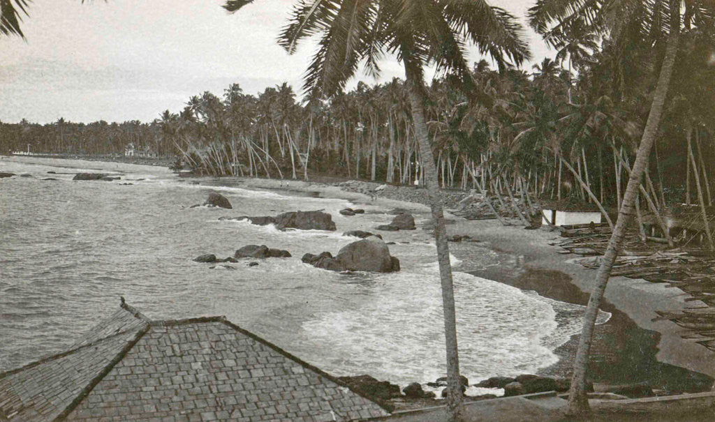 Detail of Ceylon, palm beach Mount Levinia in Colombo, Sri Lanka by Anonymous