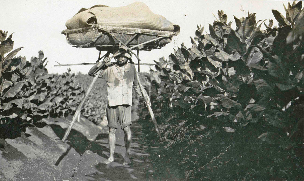 Detail of Sumatra indonesia, coolie with pikolan, Indonesia by Anonymous