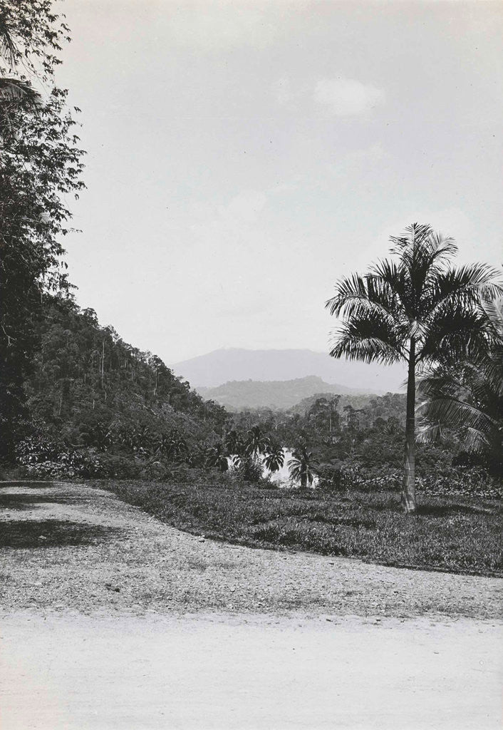 Detail of Batang Toro, Loeboek Rajah, Indonesia by Anonymous