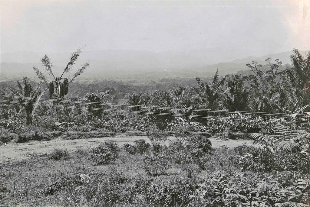 Detail of Loeboek Rajah, panorama by Anonymous