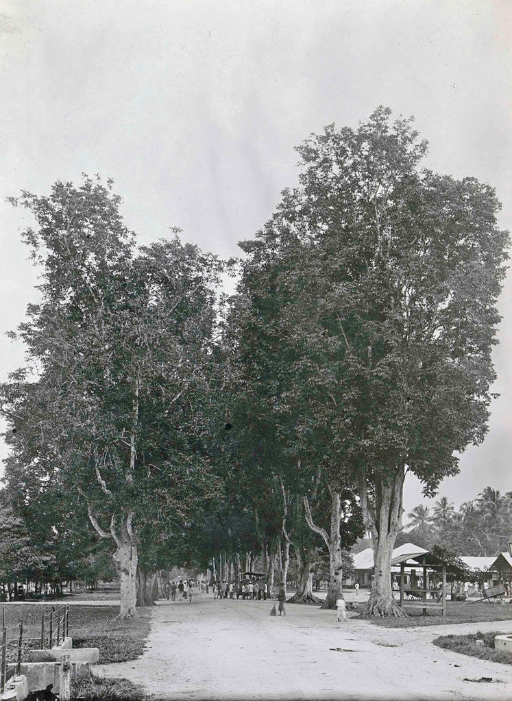 Detail of Padang Sidempoean road by Anonymous