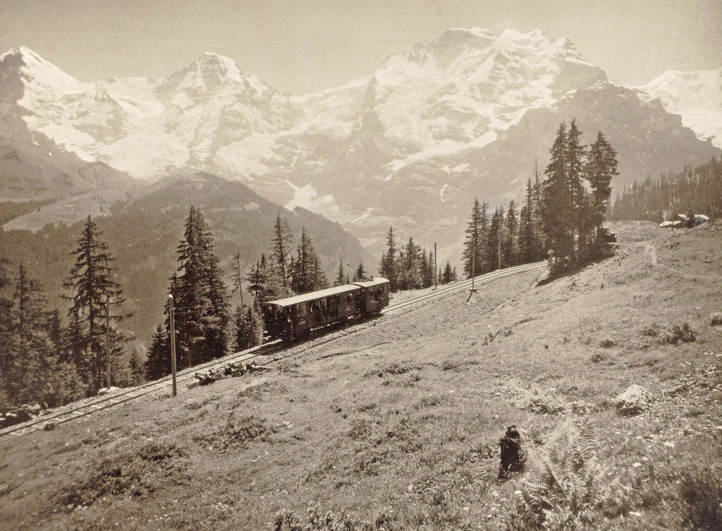 Detail of Railway of Murren Grutschalp, Switzerland by Anonymous