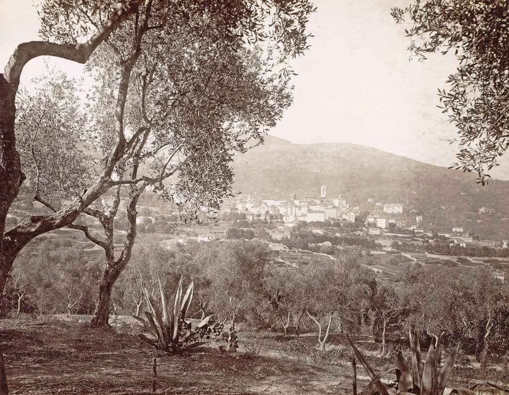Detail of Grasse, view between the olive trees, c. 1890 - c. 1900 by GJ