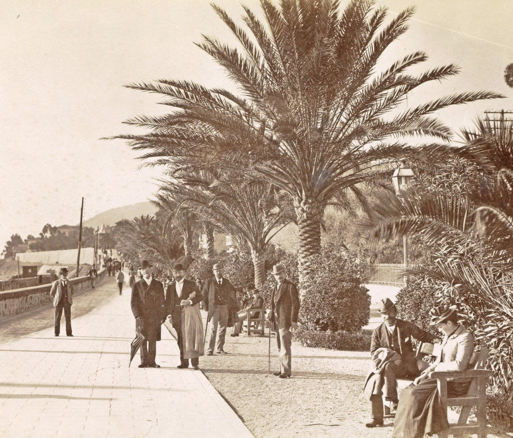 Detail of San Remo Italy by Promenade