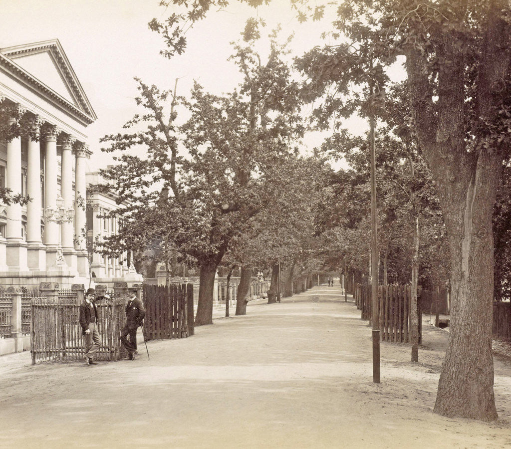 Detail of Government Avenue, Cape Town by GWW
